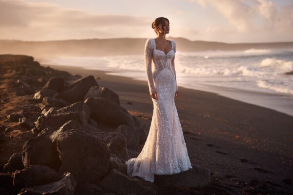 Blanchette - Image 5